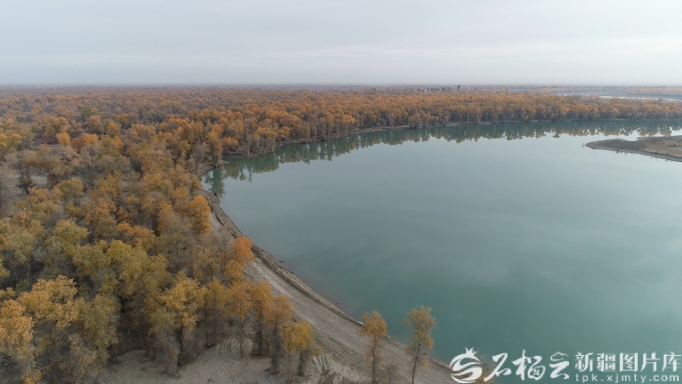 新疆经济看点丨以水为墨绘就新疆生态新画卷