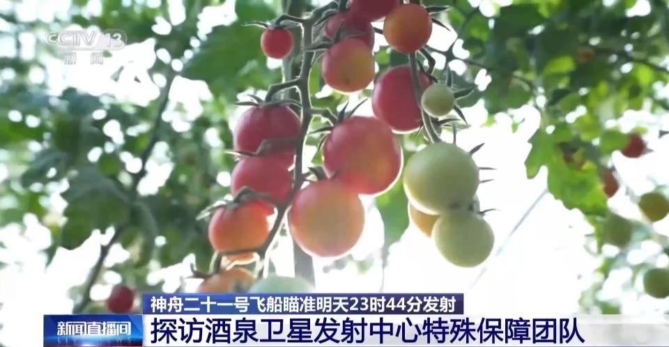 视频丨航天员乘组饮食情况如何?实地探访特殊保障团队