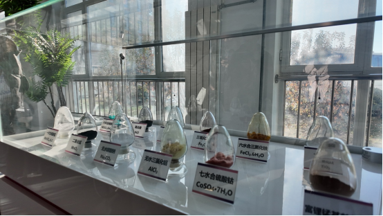 青春华章|“产学研”三线拧成“创新绳”,天津智慧引爆新质生产力_fororder_(3审)青春华章|“产学研”三线拧成“创新绳”,天津智慧助推新发展495