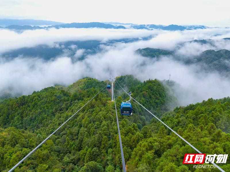 6天接待超8万人次!雪峰山索道点亮湖南文旅新版图_fororder_1
