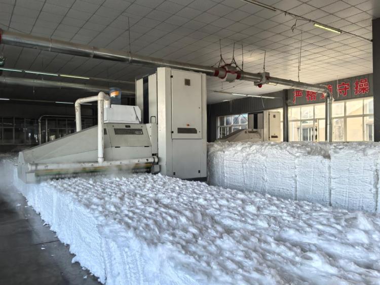 中国经济样本观察·“镇”了不起|一根细线,“缝”出200亿元大产业