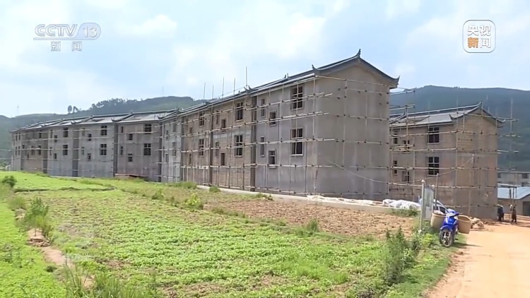 焦点访谈丨如何端稳中国饭碗 构建田美、粮安、村兴的和美景象?