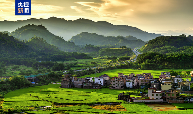 改革为犁破立前行 经济大省如何耕耘“头号工程”?