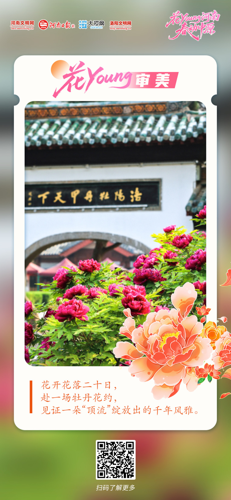 花Young河南 春动中原丨原来你是这样的河南