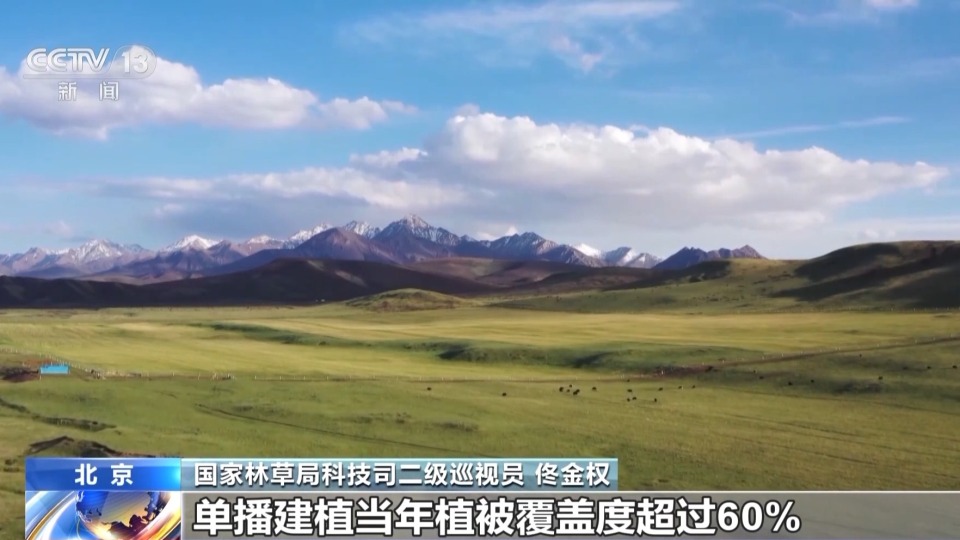 国家林草局:全国已有18个省区启动草种质资源普查