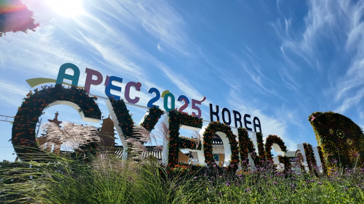 记者观察丨在APEC会议举办地触摸亚太合作发展新脉动