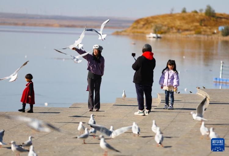 秋日乌海 人鸥同乐_fororder_20251101795fe1fe5c27464893f63c839e055b43_20251101a7c243570aa946a3aab527777dd7d03c