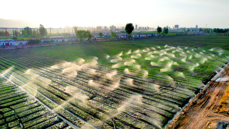 张掖山丹:科技创新为县域经济高质量发展蓄势赋能_fororder_Mix_20220920_160119