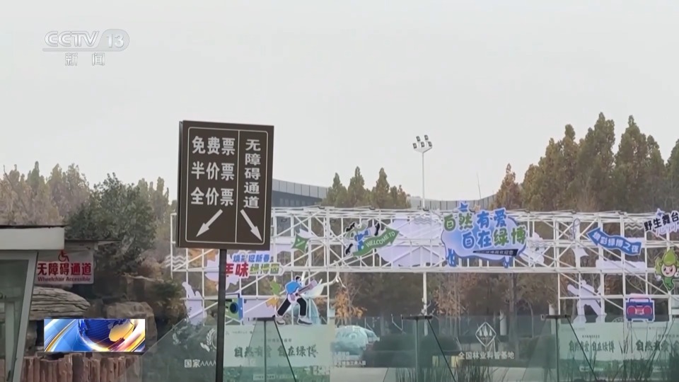 视频丨周周有演出月月有大戏 河南郑州演艺市场持续火热