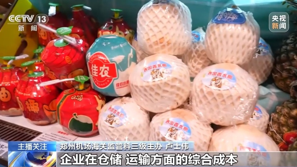 视频丨从硬联通到软联通 中国—东盟3.0版开启区域经济合作新篇章