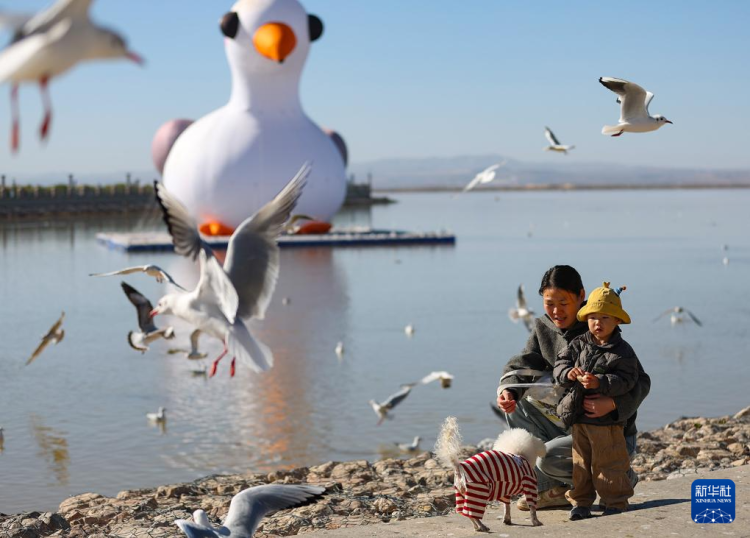 秋日乌海 人鸥同乐_fororder_20251101795fe1fe5c27464893f63c839e055b43_20251101e8b4329fc66144d5b4c91e3fc615b26a