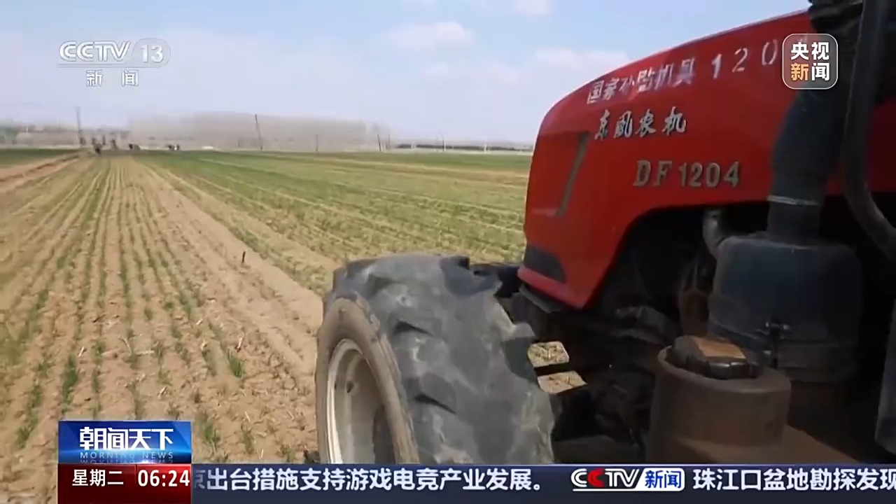 丘陵薄地如何提单产?平原沙地怎么多打粮?春耕威海有新招