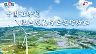 中國始終是綠色發(fā)展的堅定行動派_fororder_綠色發(fā)展  視頻封面(1)