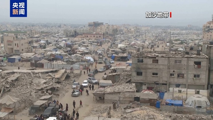 总台记者观察丨安理会涉加沙决议草案表决在即 多方博弈进入深水区