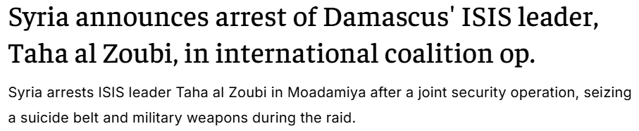 闪评 | 叙过渡政府加大打击“伊斯兰国”背后有何考量?