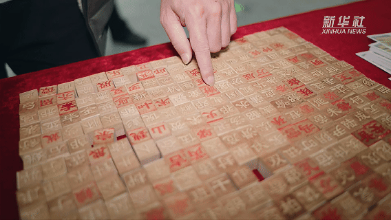 两岸同胞:相逢春运路 “姓”福带回家