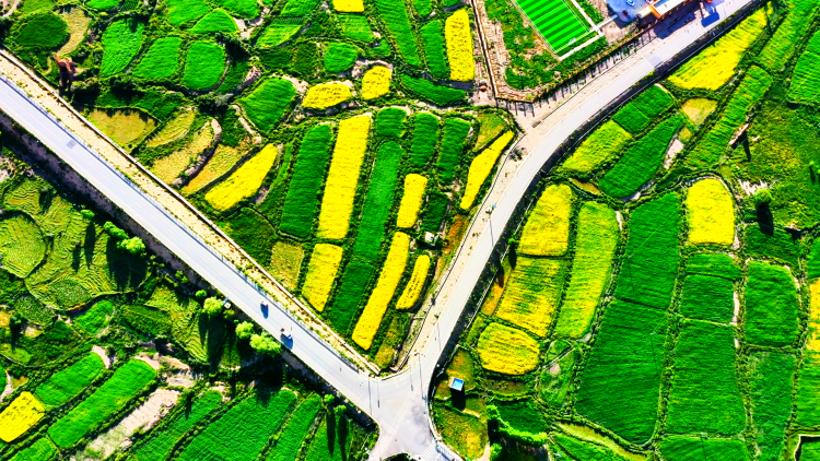 从山南交通升级见证西藏“时空革命”和民生蝶变