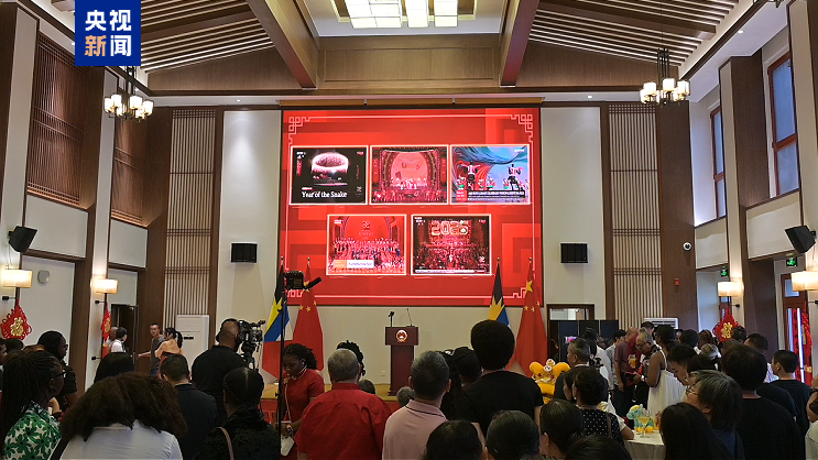 中国驻安提瓜和巴布达使馆举办新春招待会 总台春晚宣传片闪耀加勒比