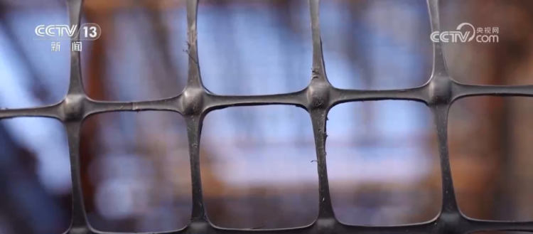 秋收一线观察 | 告别“地趴粮” 住进“好房子” 各地秋粮收储有“粮”方