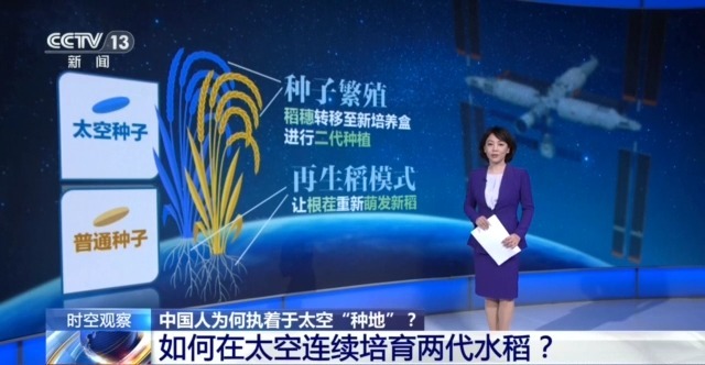 时空观察丨从蔬菜到水稻 中国人为何执着于太空“种地”?