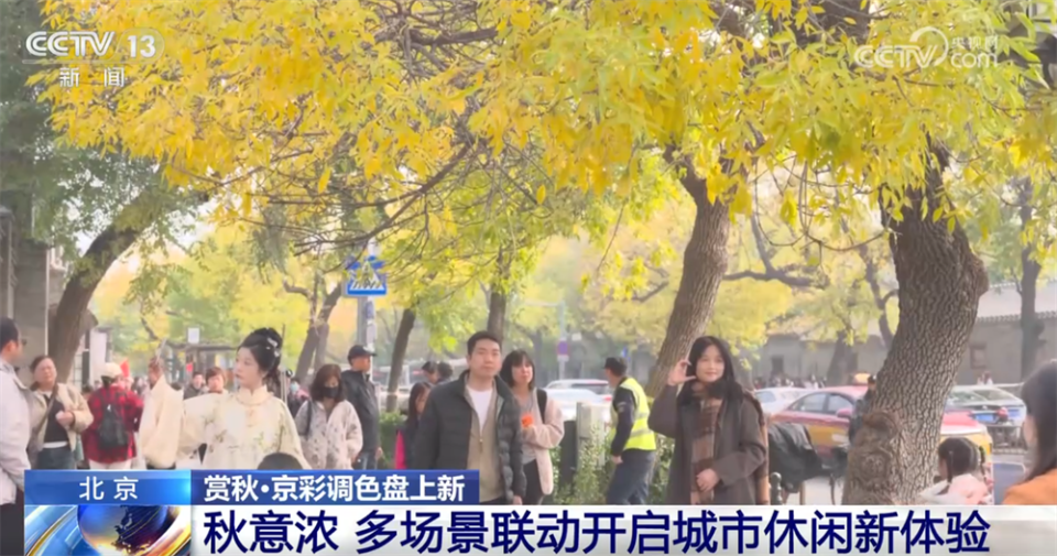 多场景联动打造“赏秋游”沉浸式新体验 “秋日经济”带火文旅消费新实践