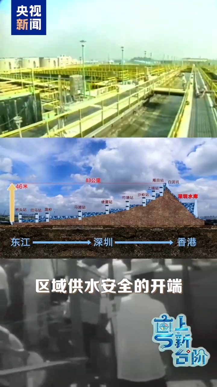 Co凤凰联盟下载mpati(图2)