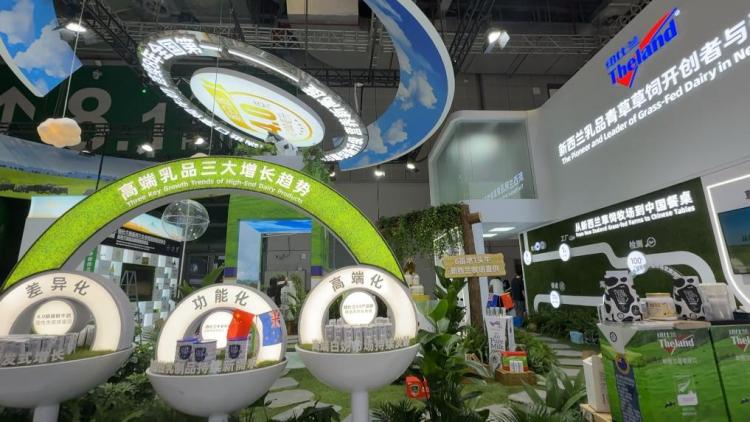 新华视点|第八届进博会:共享大市场,共创新机遇