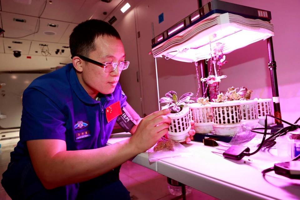 “神二十一”飞天在即 乘组地面训练精彩瞬间→