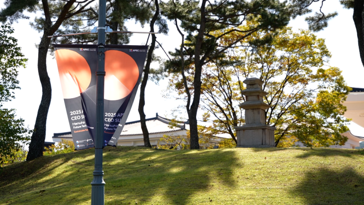 记者观察丨在APEC会议举办地触摸亚太合作发展新脉动