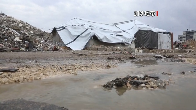 加沙地带媒体办公室:以方80天内违反停火协议近千次