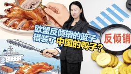 欧盟反倾销的篮子,错装了中国的鸭子_fororder_截屏2026-07-23 20.22.28