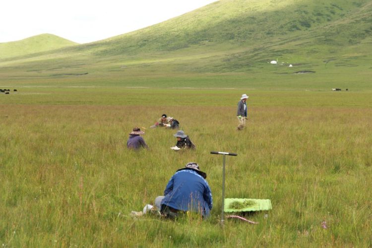 报效祖国 建功西部|30多年接力,他们用“生态之眼”揭示青藏高原的秘密