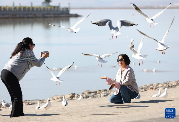 秋日乌海 人鸥同乐_fororder_20251101795fe1fe5c27464893f63c839e055b43_20251101db9e004bd0ce485c9131242cf80a802f