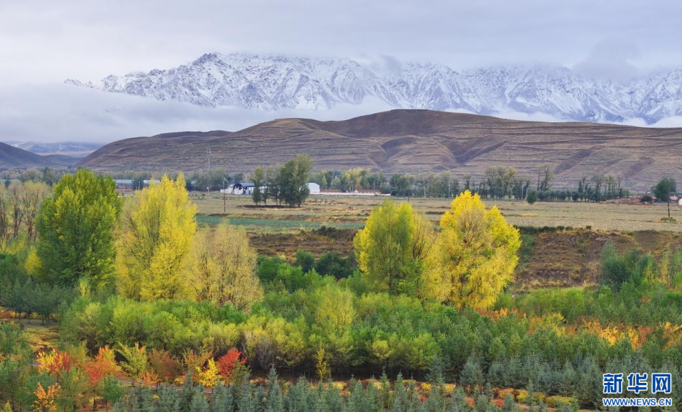 【“飞阅”中国】甘肃民乐:祁连山下秋色惹人醉_fororder_3