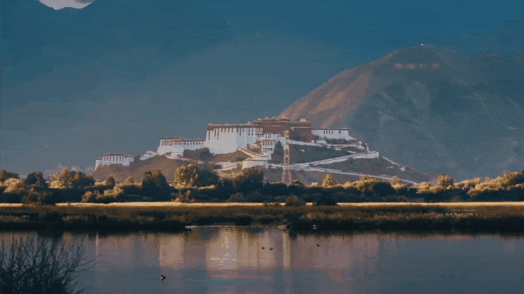 时政微纪录丨习近平总书记西藏行