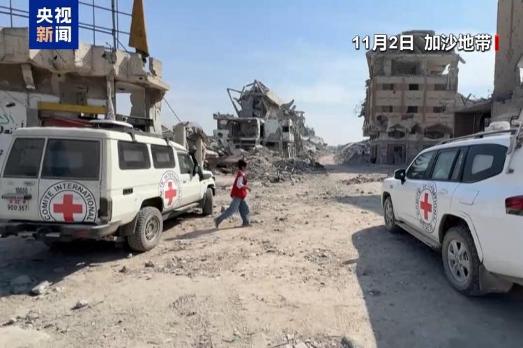 以方确认哈马斯移交的三具被扣押人员遗体身份