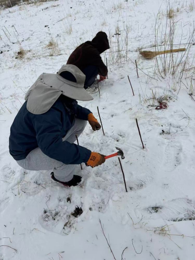 报效祖国 建功西部|30多年接力,他们用“生态之眼”揭示青藏高原的秘密
