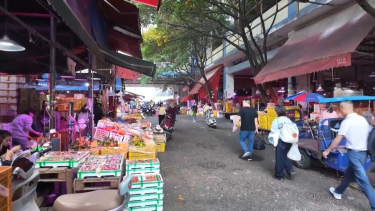 灯彩映福+舌尖寻味+冬游升温 共赏喜迎元旦幸福图景