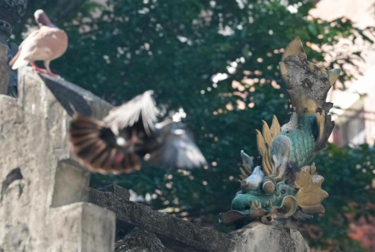 全运·文化 | 开幕式上那条“大鱼”是何来历你知道吗