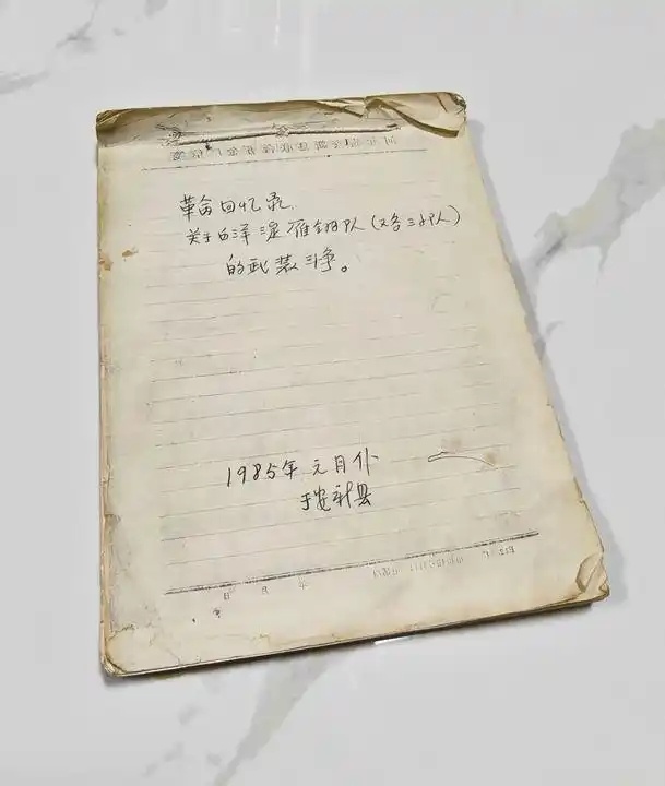 理响中国·烽火丹心丨白洋淀上斩日寇!抗战传奇雁翎队