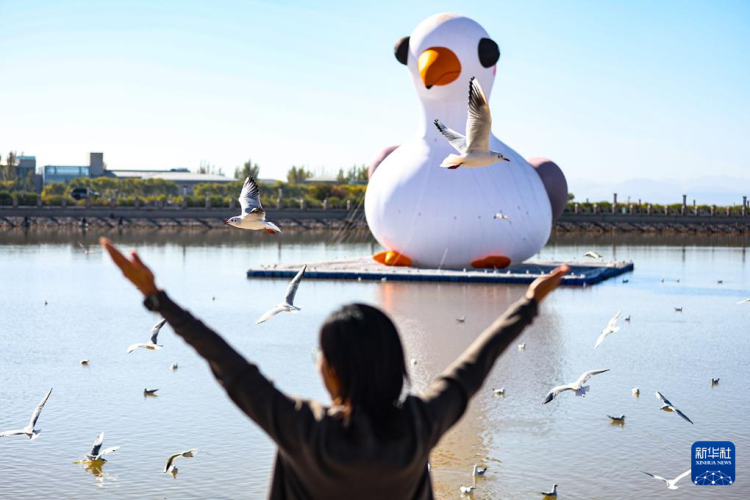 秋日乌海 人鸥同乐_fororder_20251101795fe1fe5c27464893f63c839e055b43_20251101cff2a061a79d4a60977c28a909ea32c2