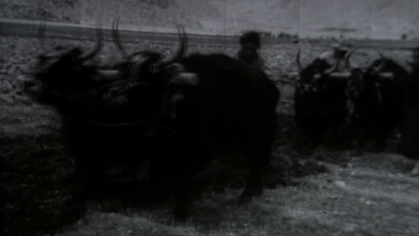 西藏百万农奴解放67周年丨雪域长歌奏华章