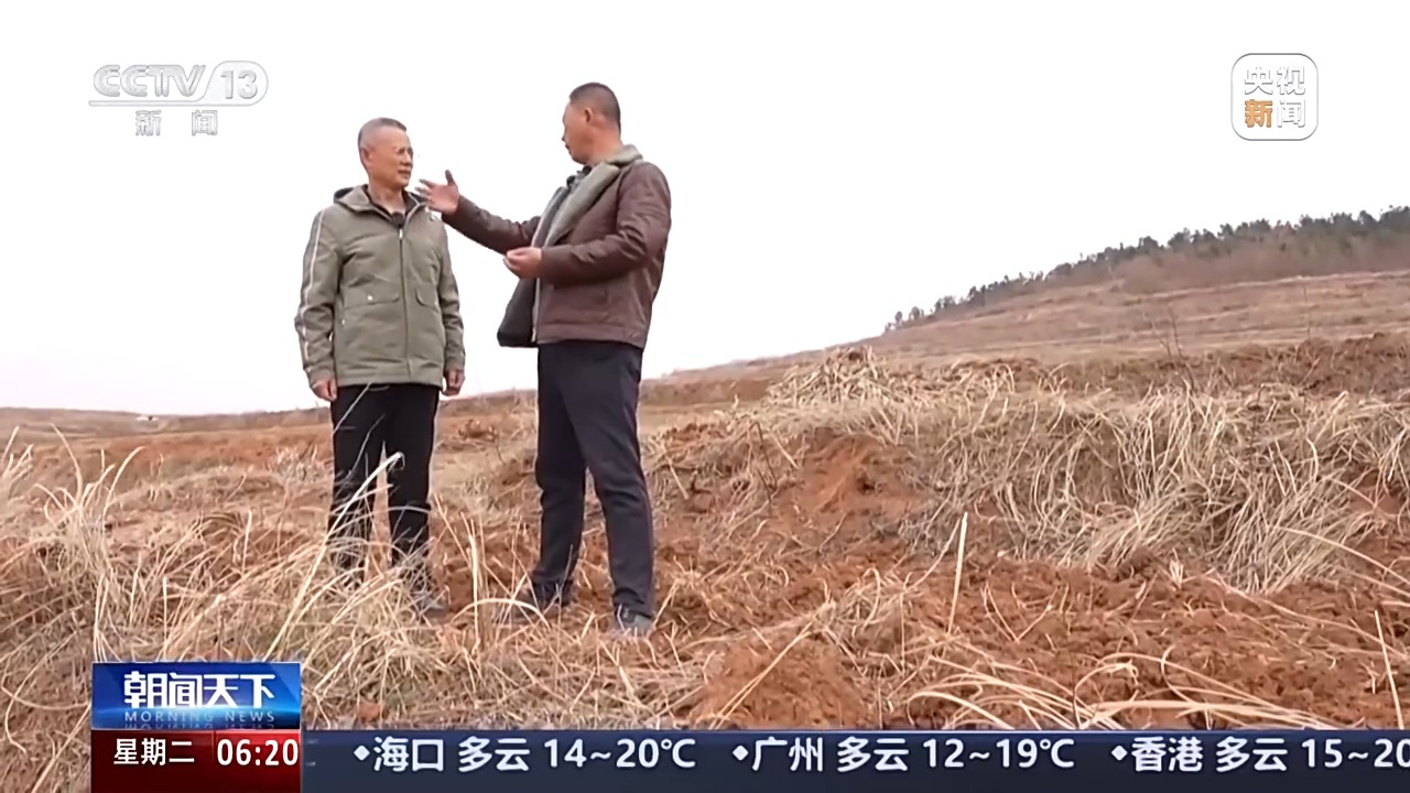 丘陵薄地如何提单产?平原沙地怎么多打粮?春耕威海有新招