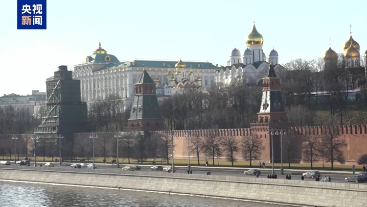 总台记者观察丨安理会涉加沙决议草案表决在即 多方博弈进入深水区