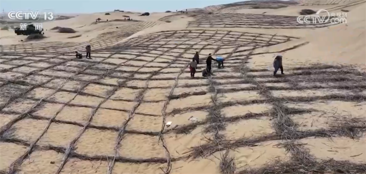 数说绿色发展成绩单 “十四五”时期我国草原生态得到整体改善