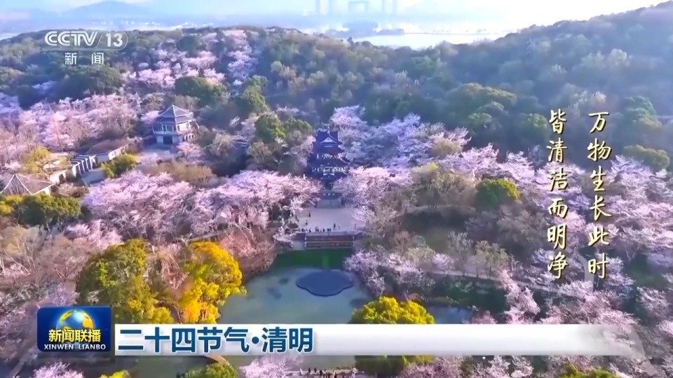 文化中国行丨二十四节气·清明 梨花风起正清明