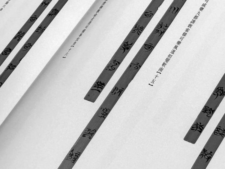 “安大简”上新!楚辞有新证