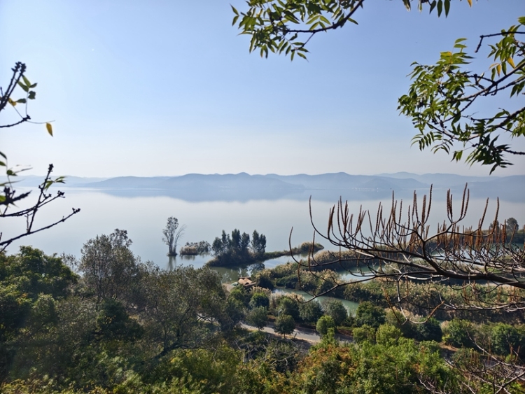 新春走基层|山朝水朝,不如人来朝——异龙湖畔感受高原湖泊治污成果