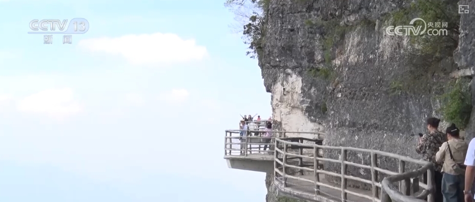 含“金”量提升!银发经济跑出“加速度” 焕发消费“青春活力”