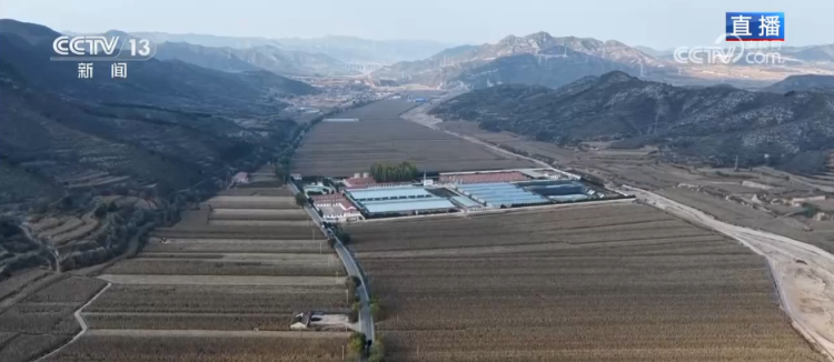 丰收背后尽显“科技范儿” 希望的田野绘就产业兴旺“振兴图”